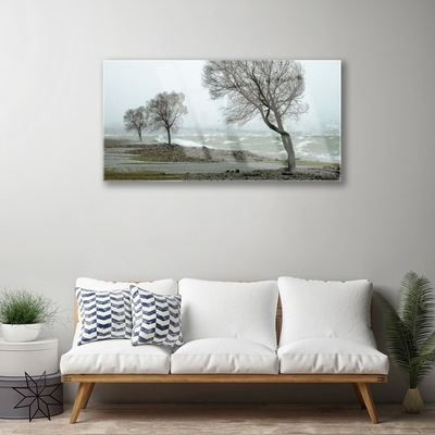 Tableaux sur verre Arbres nature brun