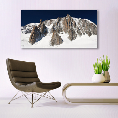 Tableaux sur verre Neige montagne paysage blanc gris