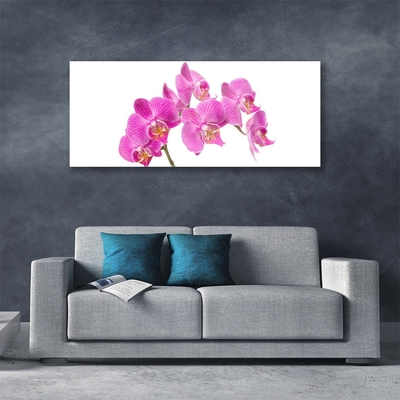 Tableaux sur verre Fleurs floral rose