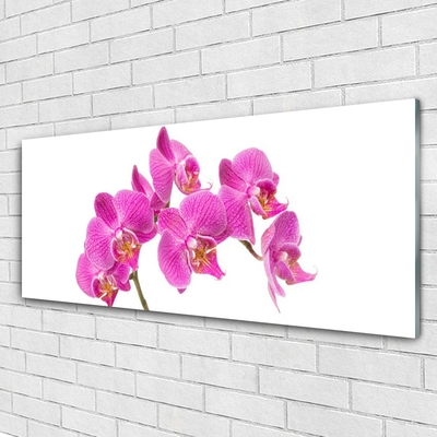 Tableaux sur verre Fleurs floral rose