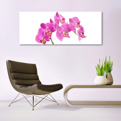 Tableaux sur verre Fleurs floral rose