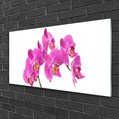 Tableaux sur verre Fleurs floral rose