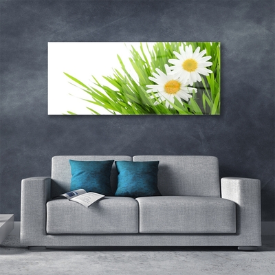 Tableaux sur verre Marguerite herbe floral vert jaune blanc