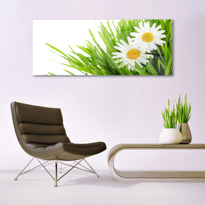 Tableaux sur verre Marguerite herbe floral vert jaune blanc