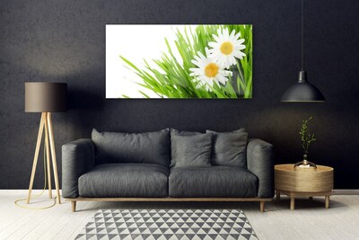 Tableaux sur verre Marguerite herbe floral vert jaune blanc