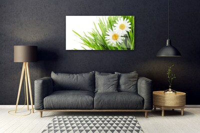 Tableaux sur verre Marguerite herbe floral vert jaune blanc