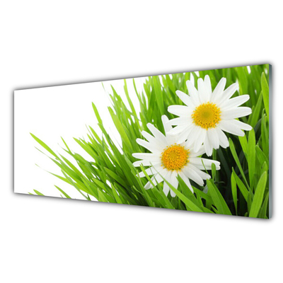 Tableaux sur verre Marguerite herbe floral vert jaune blanc