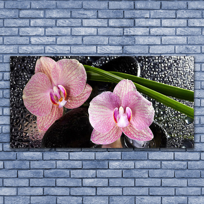 Tableaux sur verre Fleurs souches floral vert rose