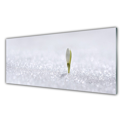 Tableaux sur verre Fleur floral vert blanc