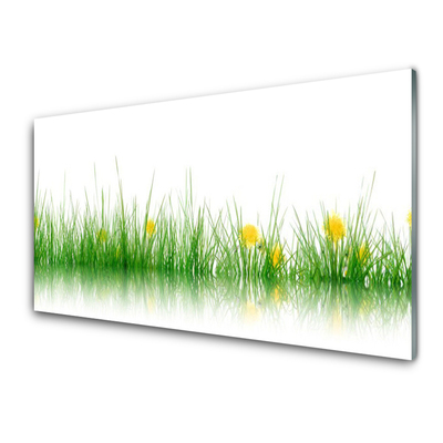 Tableaux sur verre Herbe nature vert