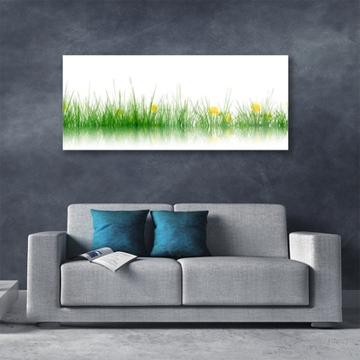 Tableaux sur verre Herbe nature vert