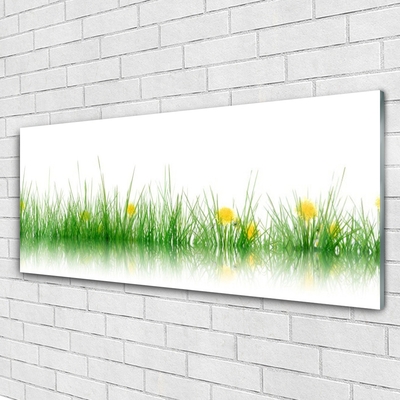 Tableaux sur verre Herbe nature vert