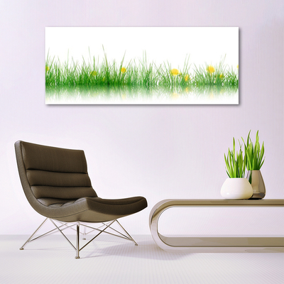 Tableaux sur verre Herbe nature vert