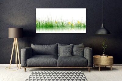 Tableaux sur verre Herbe nature vert