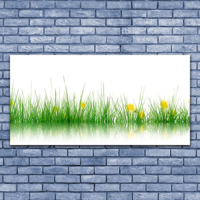 Tableaux sur verre Herbe nature vert