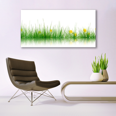 Tableaux sur verre Herbe nature vert