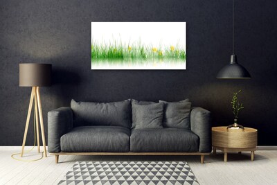 Tableaux sur verre Herbe nature vert