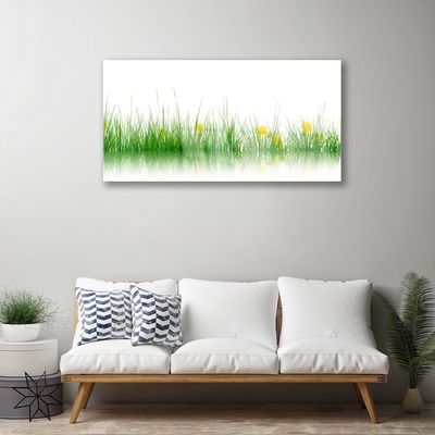 Tableaux sur verre Herbe nature vert