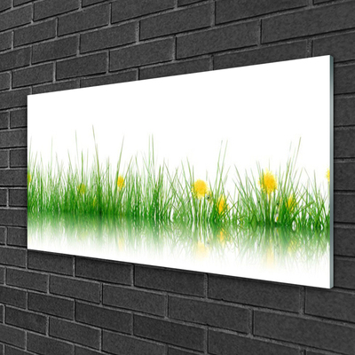 Tableaux sur verre Herbe nature vert