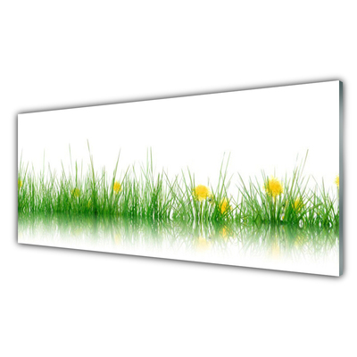 Tableaux sur verre Herbe nature vert