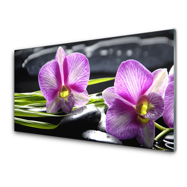 Tableaux sur verre Pierres fleurs floral rose noir