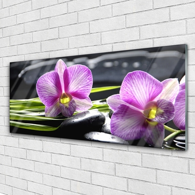 Tableaux sur verre Pierres fleurs floral rose noir