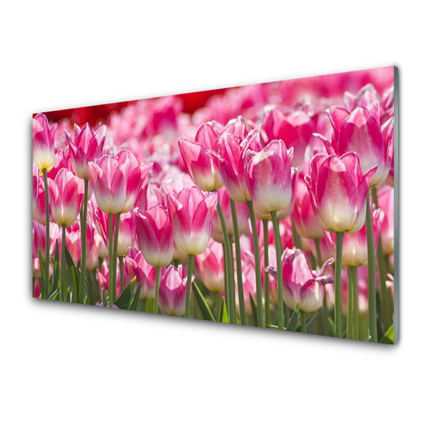 Tableaux sur verre Tulipes floral vert blanc rouge
