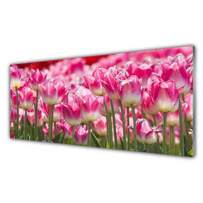 Tableaux sur verre Tulipes floral vert blanc rouge