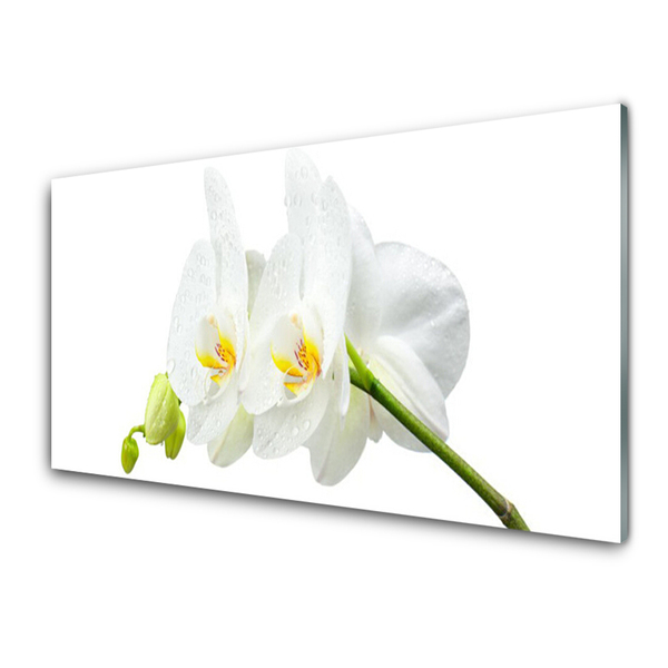 Tableaux sur verre Fleurs floral blanc