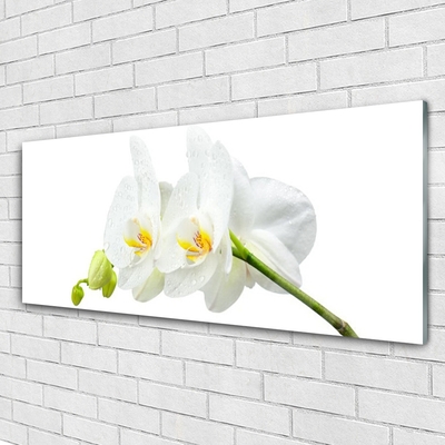 Tableaux sur verre Fleurs floral blanc