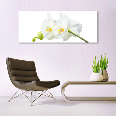 Tableaux sur verre Fleurs floral blanc