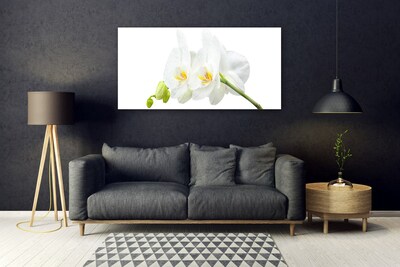 Tableaux sur verre Fleurs floral blanc