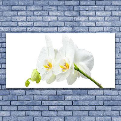 Tableaux sur verre Fleurs floral blanc