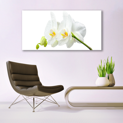 Tableaux sur verre Fleurs floral blanc