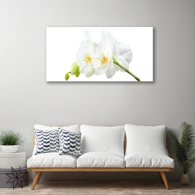 Tableaux sur verre Fleurs floral blanc