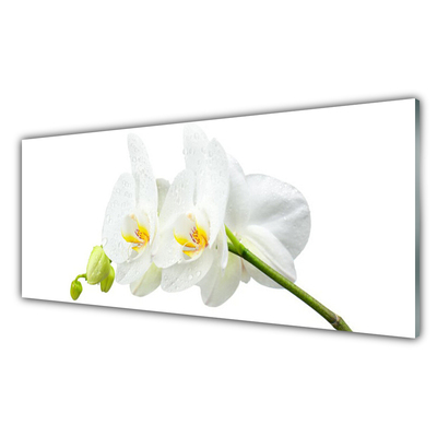 Tableaux sur verre Fleurs floral blanc