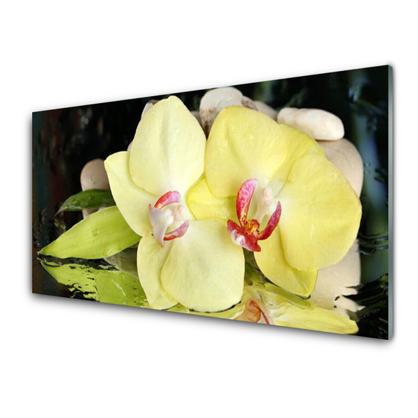 Tableaux sur verre Fleurs floral vert