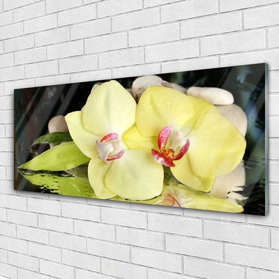 Tableaux sur verre Fleurs floral vert