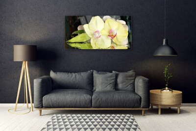 Tableaux sur verre Fleurs floral vert