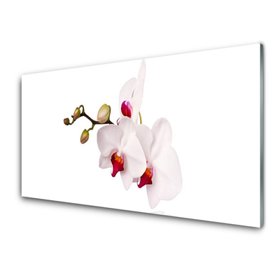 Tableaux sur verre Fleurs floral rose blanc