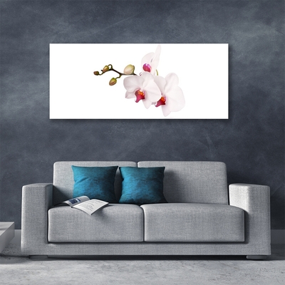 Tableaux sur verre Fleurs floral rose blanc