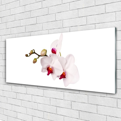 Tableaux sur verre Fleurs floral rose blanc