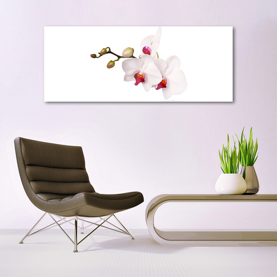 Tableaux sur verre Fleurs floral rose blanc