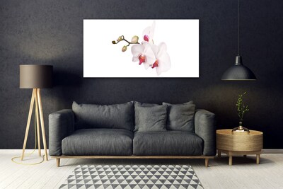 Tableaux sur verre Fleurs floral rose blanc