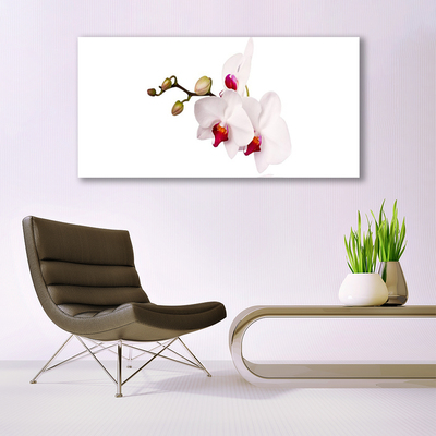 Tableaux sur verre Fleurs floral rose blanc