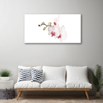 Tableaux sur verre Fleurs floral rose blanc