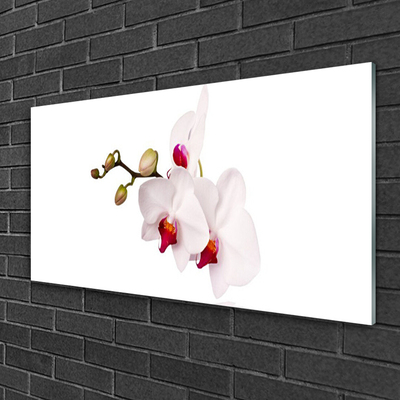 Tableaux sur verre Fleurs floral rose blanc