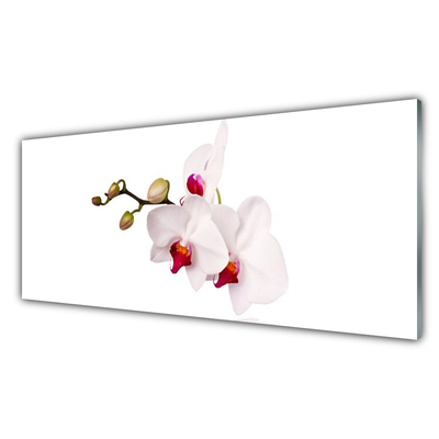 Tableaux sur verre Fleurs floral rose blanc