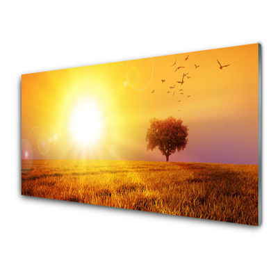 Tableaux sur verre Prairie paysage jaune brun