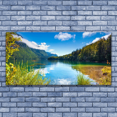 Tableaux sur verre Montagnes forêt lac nature vert bleu